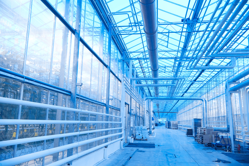 blue greenhouse with plants